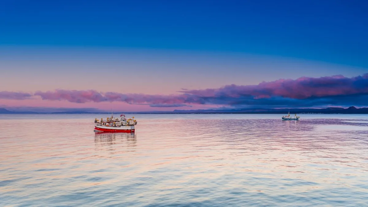 Karadeniz ve Marmara'da Balık Avı: Üç Türde Bol ve Uygun Fiyat